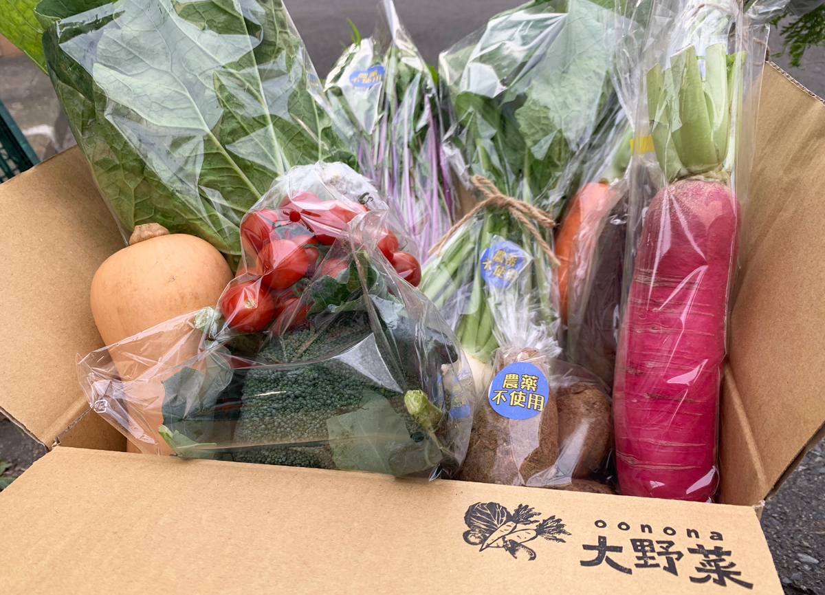 旬のおまかせ野菜セット3,000円分
