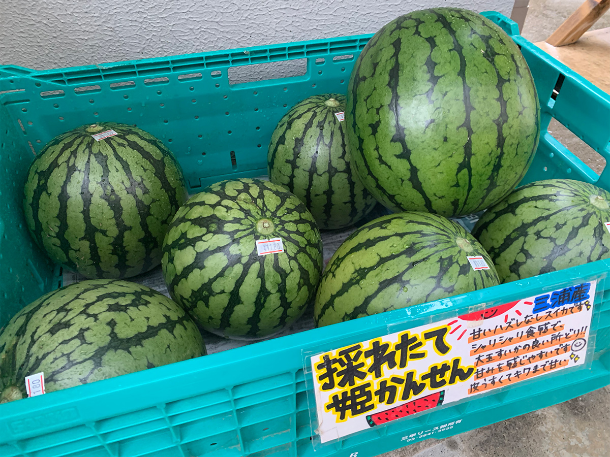 三浦毘沙門産のスイカ 姫甘泉 が入荷しました 大野菜 大倉山の八百屋